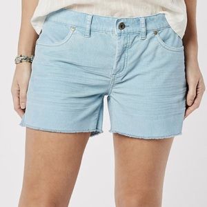 Carve Designs Oahu Short Water